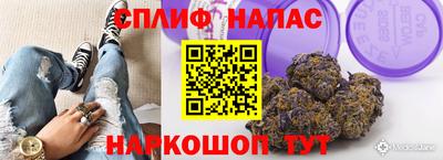 каннабис Ноябрьск