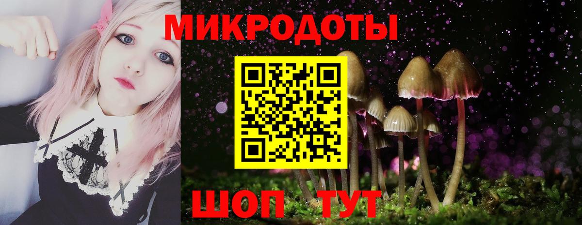 Коммунар  Галлюциногенные грибы Psilocybe  Вход с VPN 